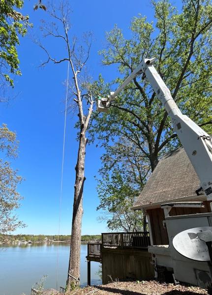 Harris Tree Service