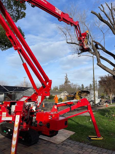 Majestic Tree Service