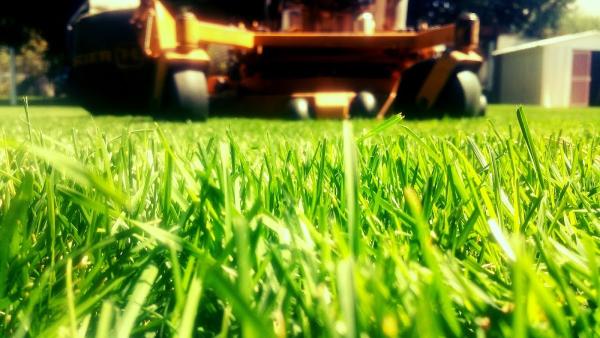CV Lawn King LLC