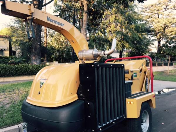 Pasadena Tree Experts
