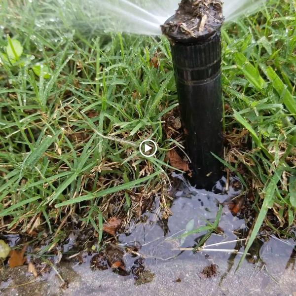 Hepler's Hometown Landscape & Irrigation