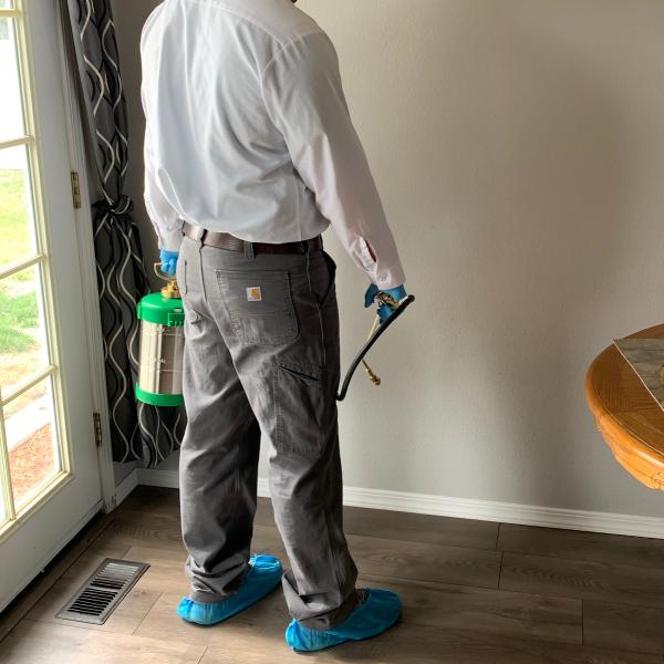 Affinity Pest Control