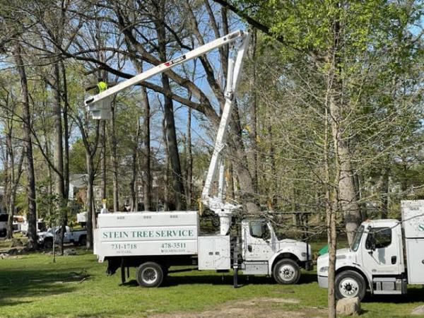 Stein Tree Service