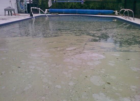 Sunny Days Pool Care
