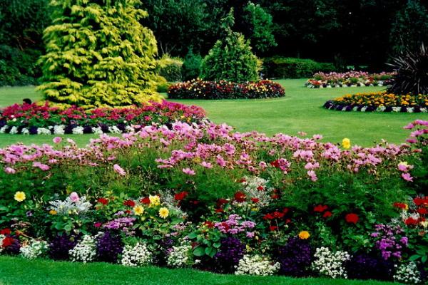 Nava's Landscaping