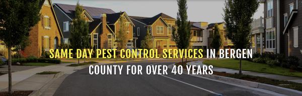 Twin Boro Pest Control