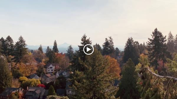 Oregon Tree Care