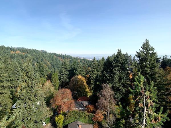 Oregon Tree Care