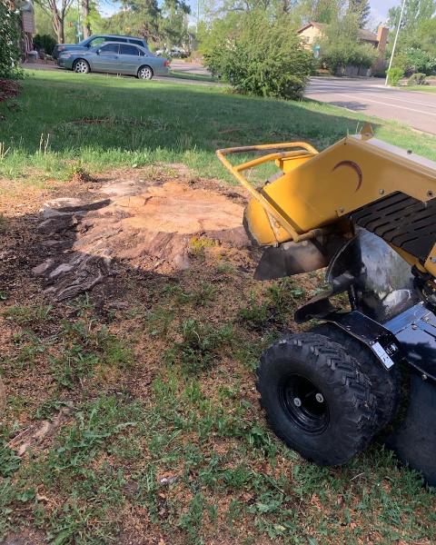Old Town Stump Removal LLC