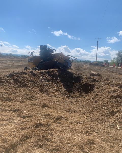 Old Town Stump Removal LLC