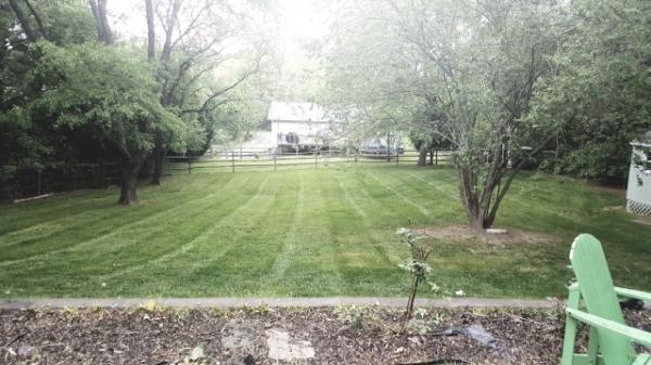 Deep Roots Lawn Maintenance & Landscaping Llc.
