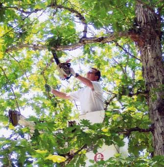 Shear Outdoor Services