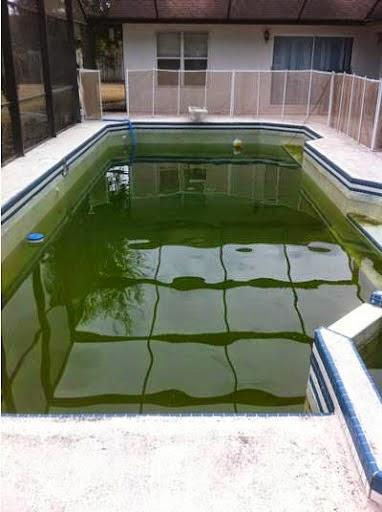 Al-Mar Pool & Spa