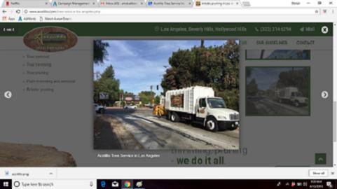 Acotillo Tree Service Inc