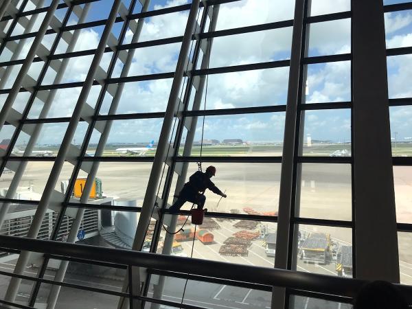 Miller Window Cleaning