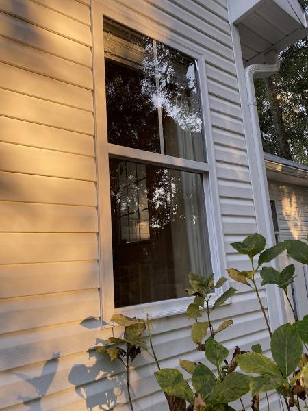 Transparent Glass LLC