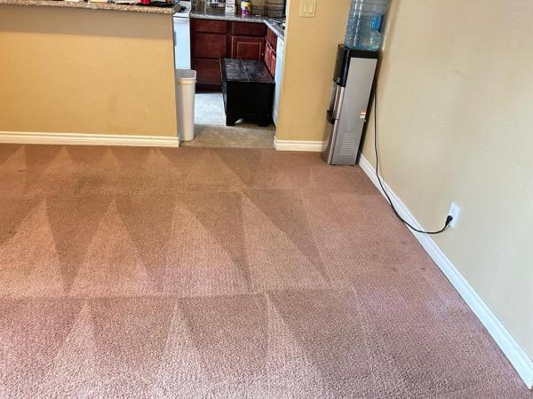 Bulldog Carpet Cleaning