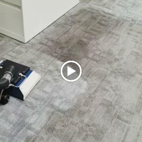 Bulldog Carpet Cleaning