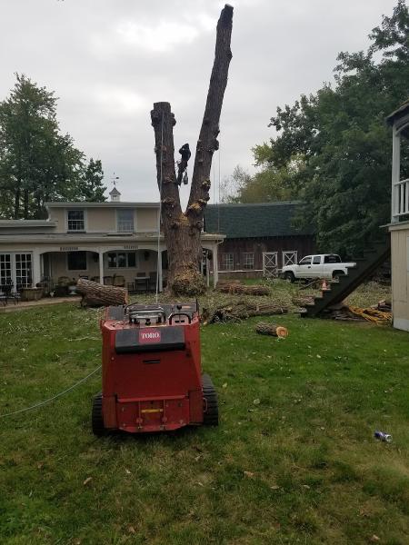 Logans Tree and Landscaping