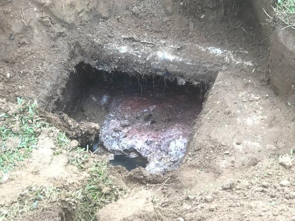 Fast Lane Septic Service