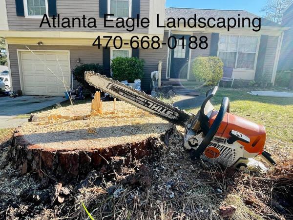 Atlanta Eagle Landscaping