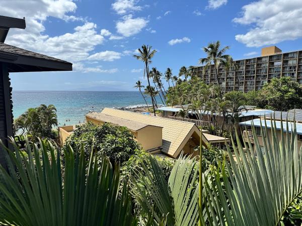 Maui Property Team