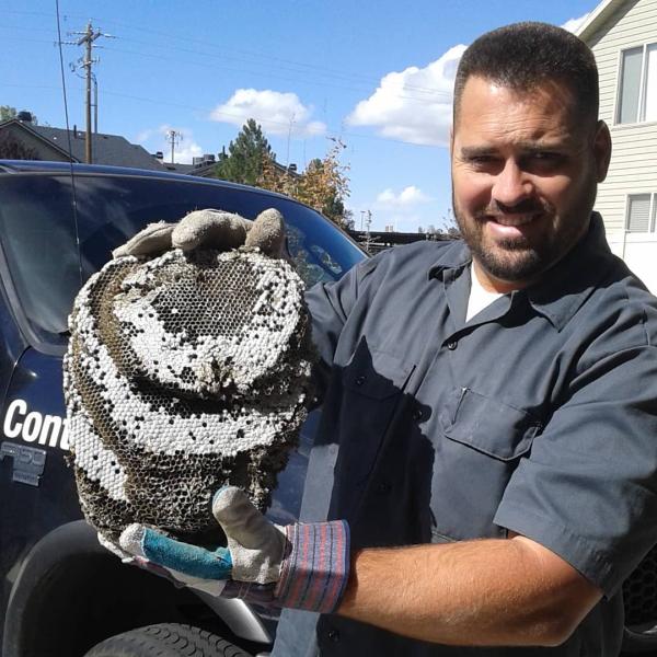 Columbia Pest Control