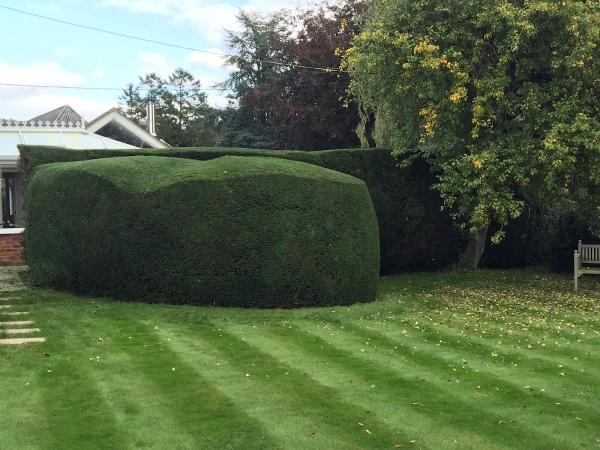 Atlas Landscape Management