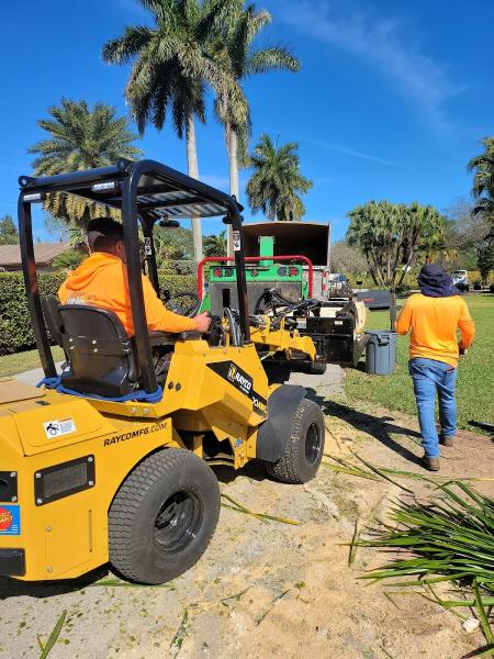 Big Dawgs Tree Service & Stump Grinding