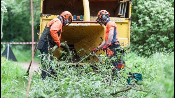 First Choice Lawn & Tree Service