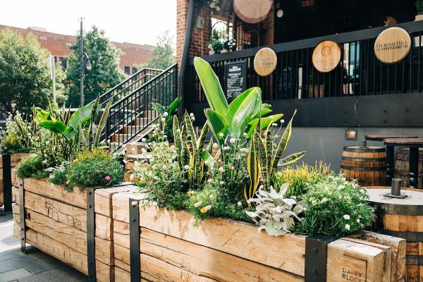 Green Thumb Plantscape