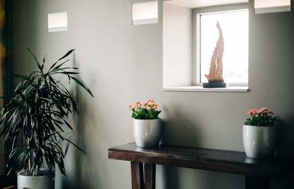 Green Thumb Plantscape