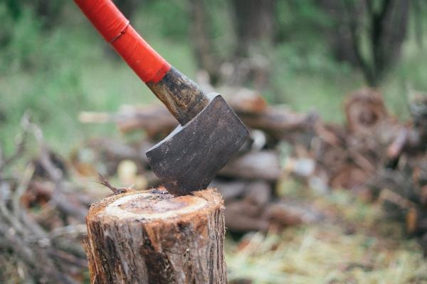 McDonough Tree Service