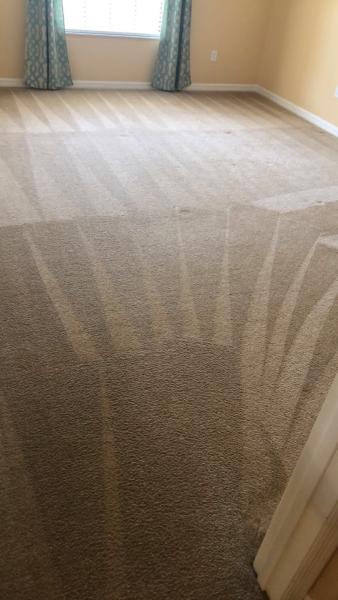 Perceptions Carpet and Restoration