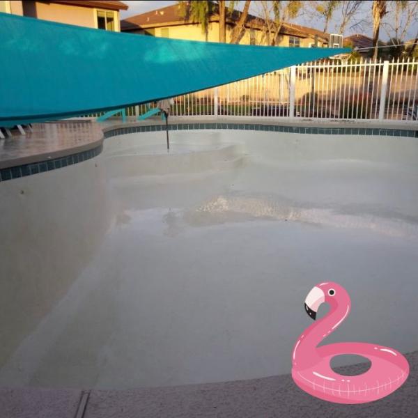 Flamingo Pools
