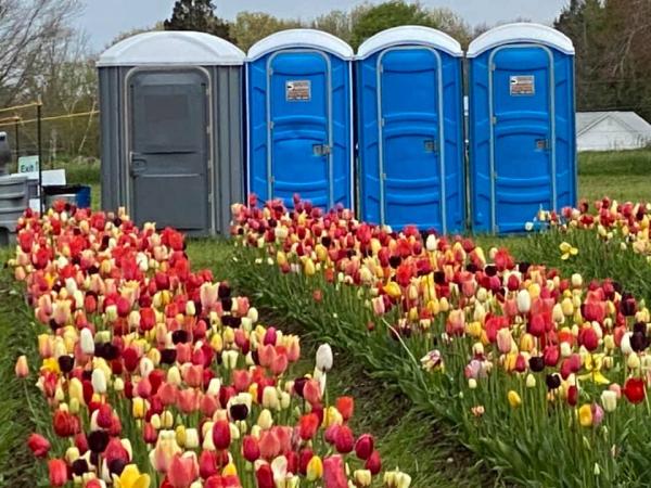 Shoreline Sanitation