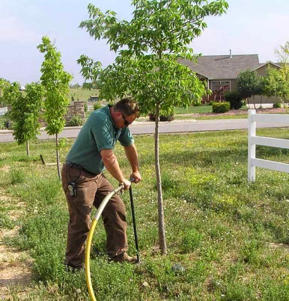 Fine Tree Service