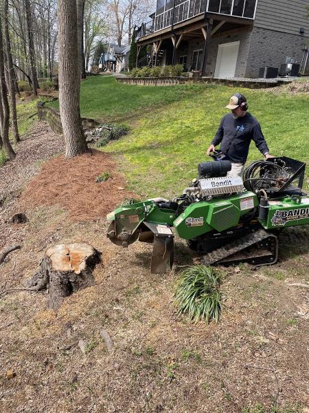 Carolina Roots Stump Grinding