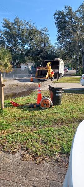Chip's Tree Service