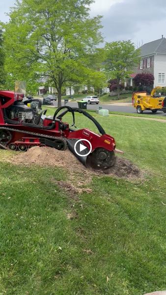 R&A Tree Experts Inc.