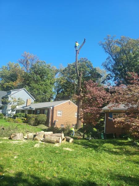R&A Tree Experts Inc.