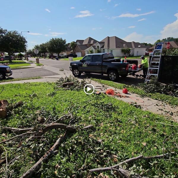“carrizales” Landscaping & Pest Control Llc. (Rgv)