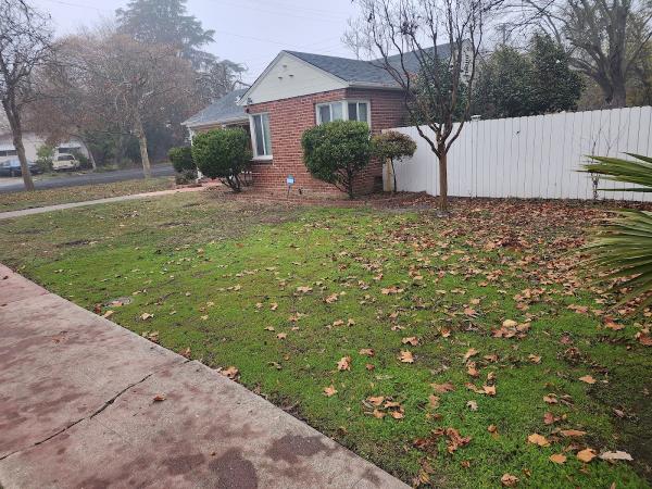 Complete Landscaping and Gardening