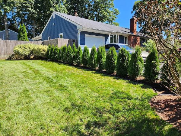 Eco-Logical Landscaping