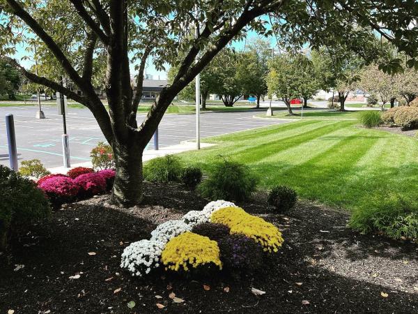 Parkyn Landscape & Hardscape