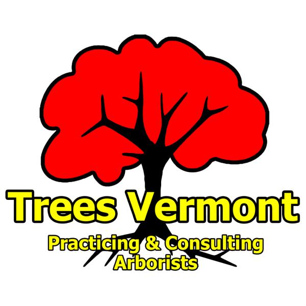 Trees Vermont