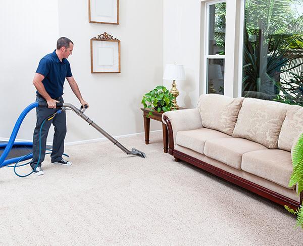 The Colony Carpet Cleaning