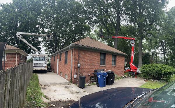 All Year Tree Services