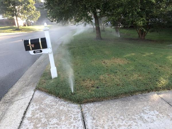 Bio Turf Lawn and Irrigation