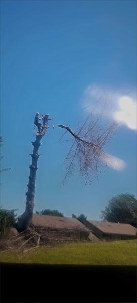 N&N Tree Service LLC